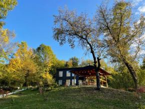 Casa de pe un Deal-Provita de Sus-Prahova